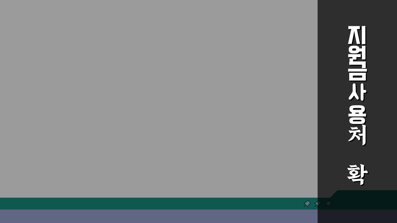 지원금 사용처 확인: 민생지원금 사용 가능한 곳과 제한사항 총정리